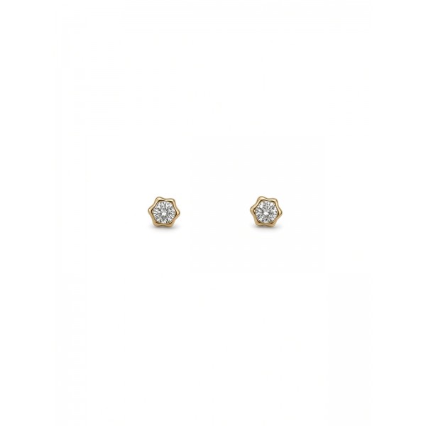 Pendientes Flor Tuerca Rosca