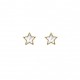 Pendientes Oro 18k y Nácar Estrella