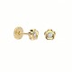 Pendientes Flor Oro 18K y Circonitas